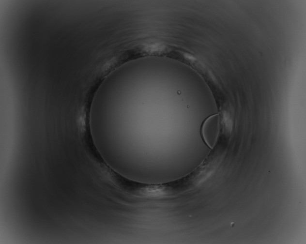 X0000100780668200806191304