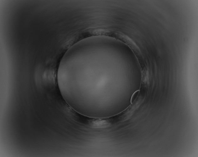 X0000100780669200806191304