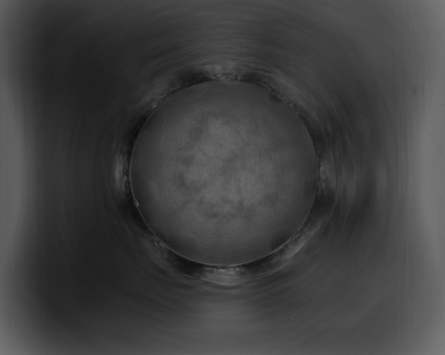 X0000100780671200806191304