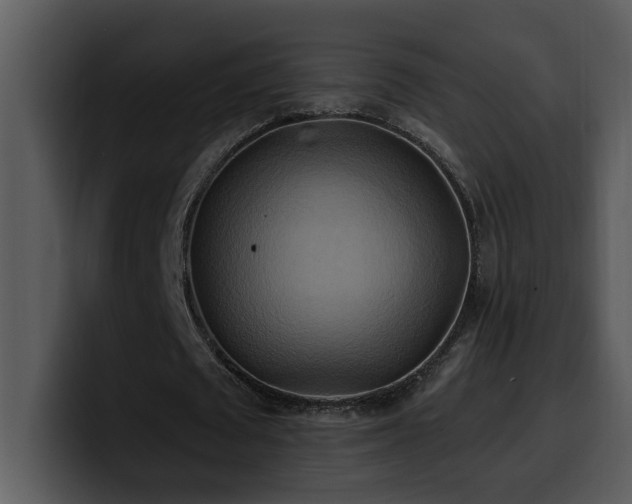 X0000100780673200806191303