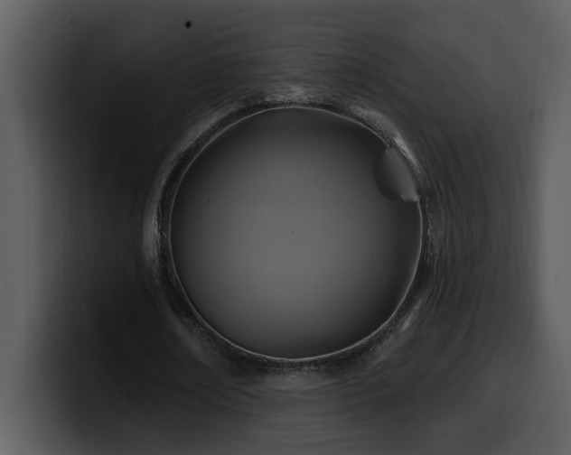 X0000100780674200806191303