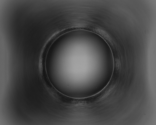 X0000100780676200806191303