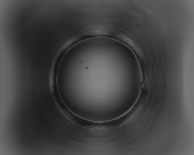 X0000100780677200806191303