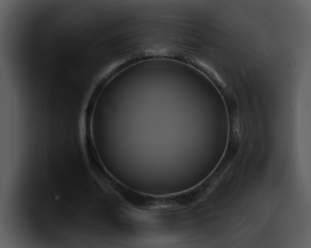 X0000100780678200806191303