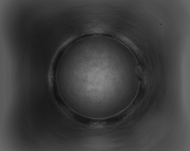 X0000100780680200806191303