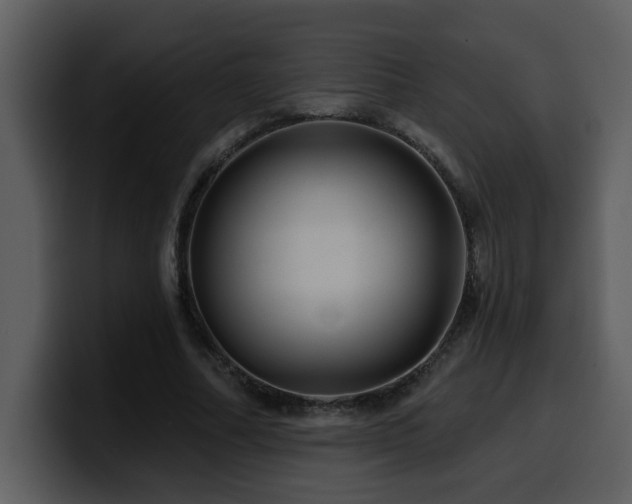 X0000100780682200806191303