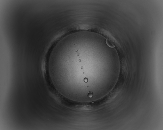 X0000100780683200806191303