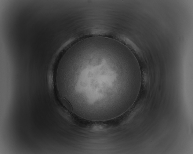 X0000100780684200806191303