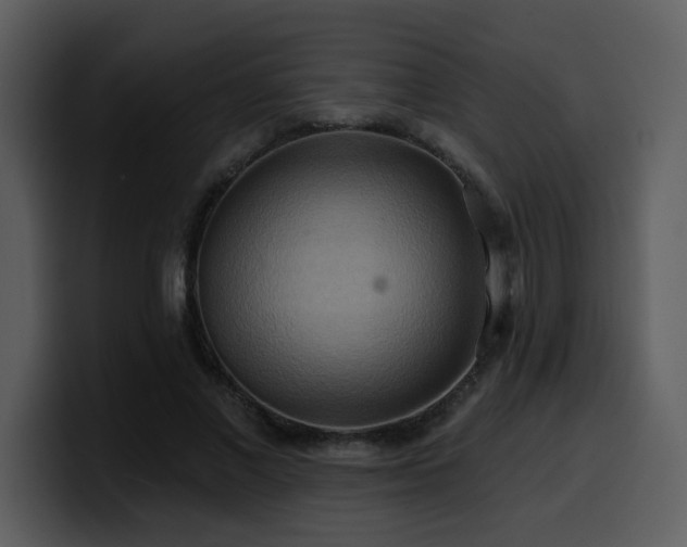 X0000100780685200806191303