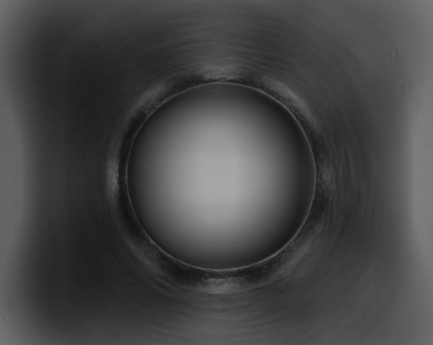 X0000100780686200806191303