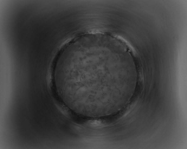 X0000100780687200806191303