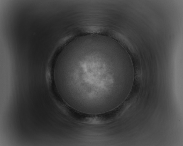 X0000100780688200806191303