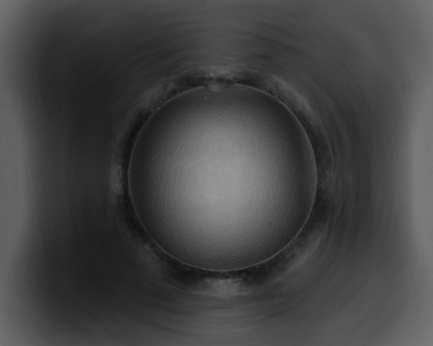 X0000100780689200806191303