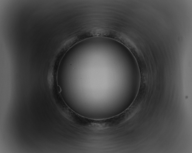 X0000100780690200806191303