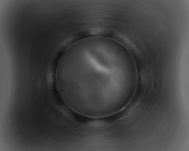 X0000100780691200806191303