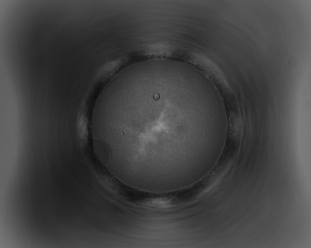 X0000100780692200806191303