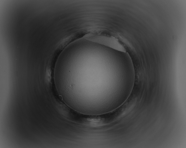 X0000100780693200806191303