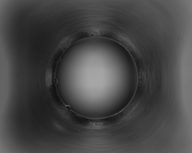 X0000100780694200806191303