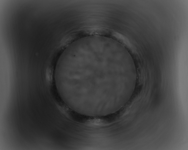 X0000100780695200806191303