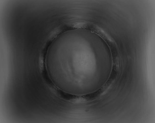 X0000100780696200806191303