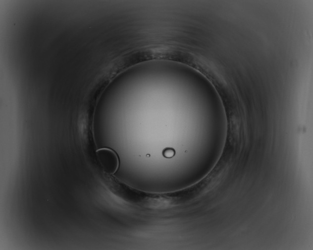 X0000100780698200806191303