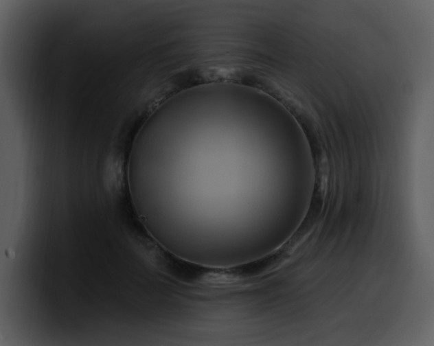 X0000100780699200806191303