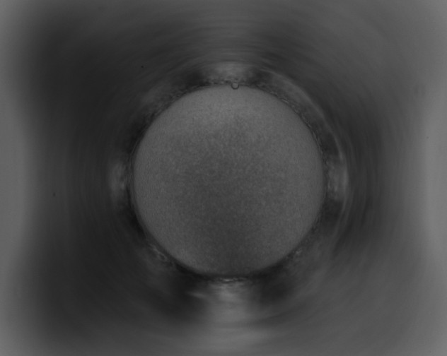 X0000100780701200806191303