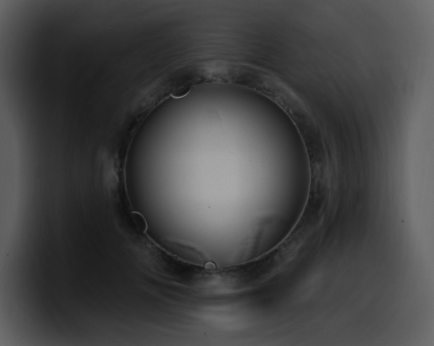 X0000100780702200806191303