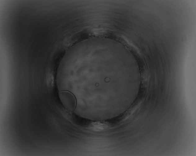 X0000100780703200806191303