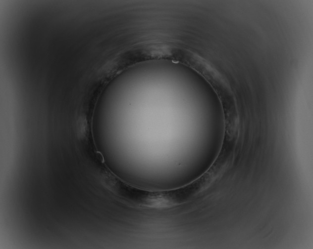 X0000100780704200806191303