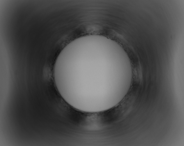 X0000100780705200806191303