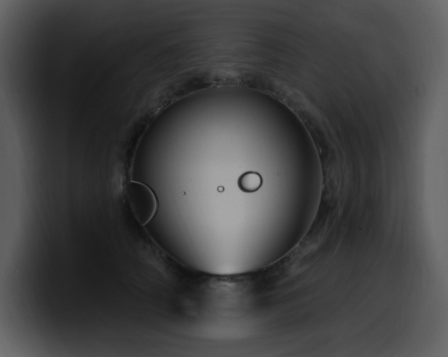 X0000100780706200806191303