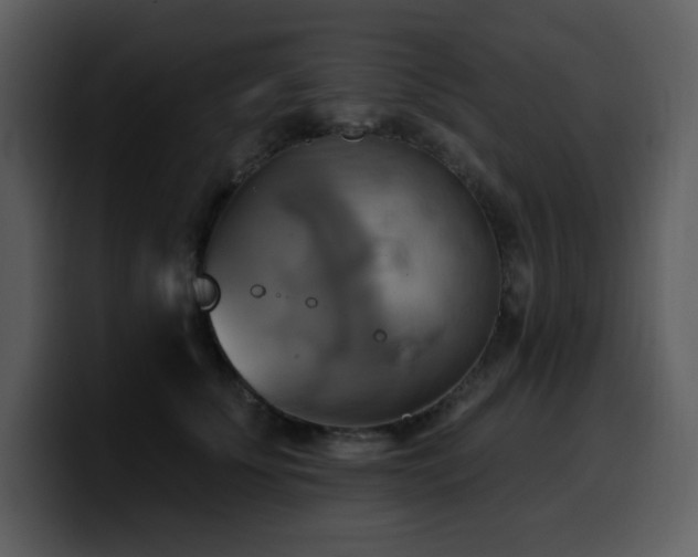 X0000100780707200806191303