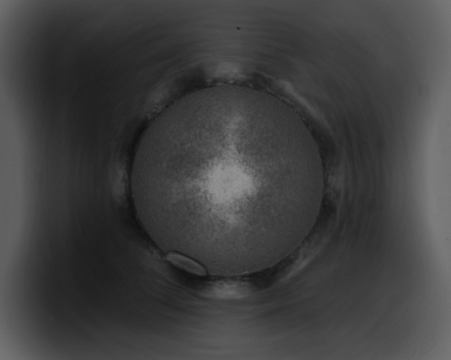 X0000100780708200806191303