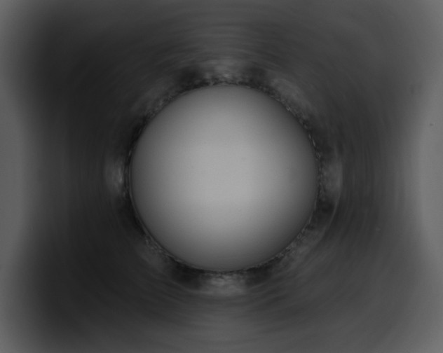 X0000100780709200806191303