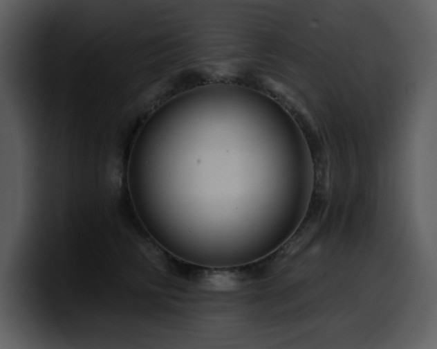 X0000100780710200806191303