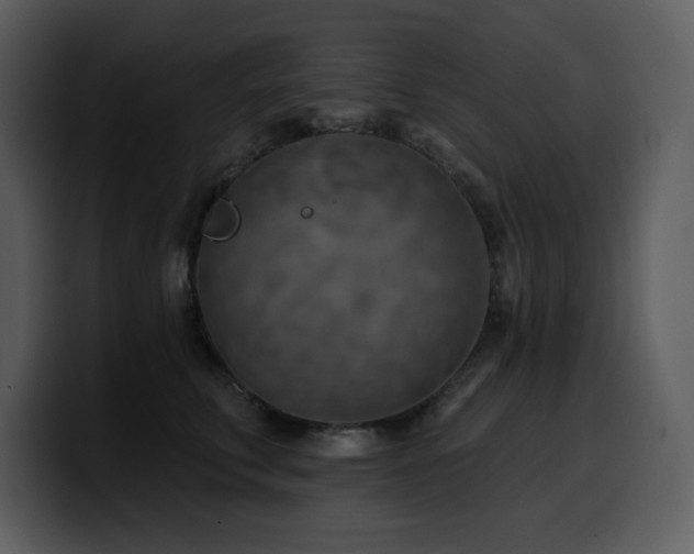 X0000100780711200806191303