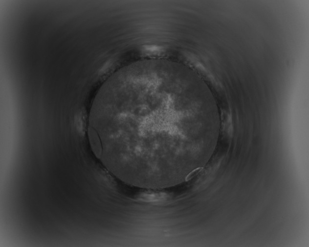 X0000100780712200806191303