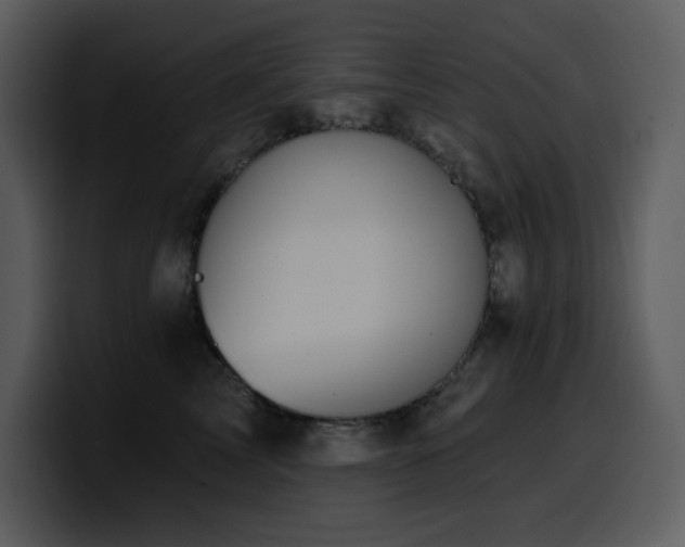 X0000100780713200806191303