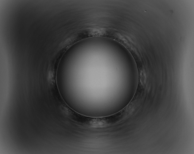 X0000100780714200806191303