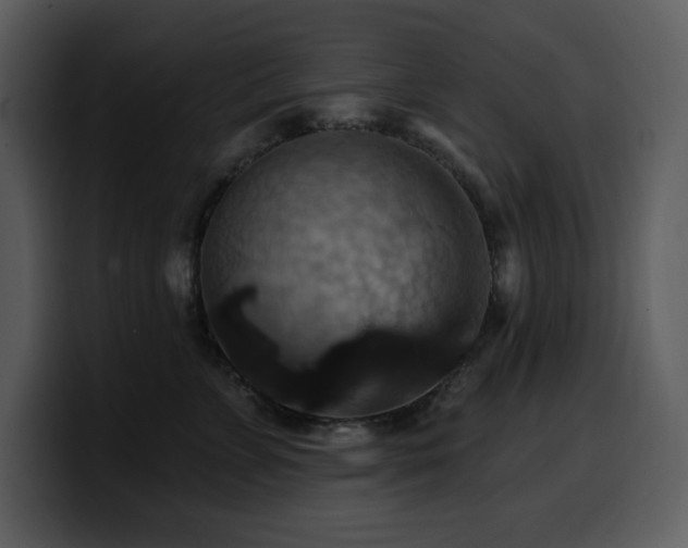 X0000100780715200806191303