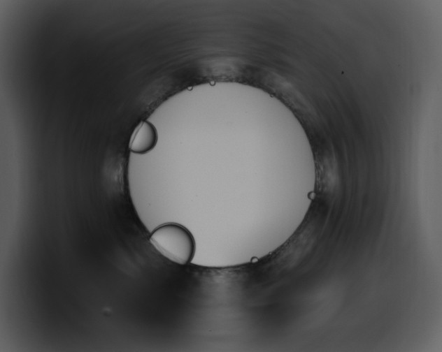 X0000100780717200806191302