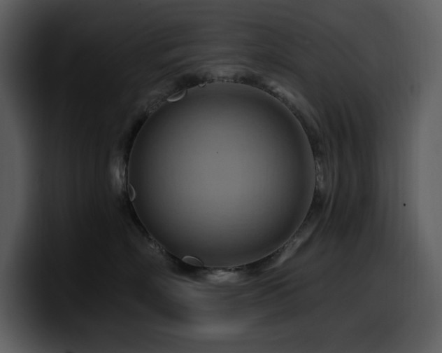 X0000100780718200806191302