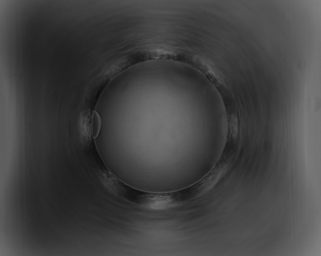 X0000100780719200806191302