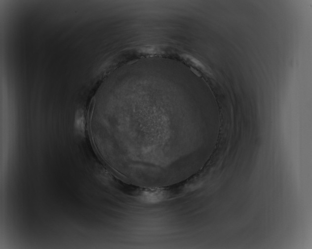 X0000100780720200806191302