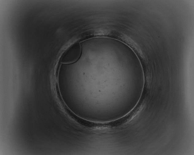 X0000100780721200806191302