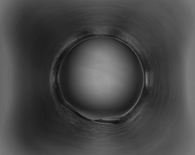 X0000100780723200806191302