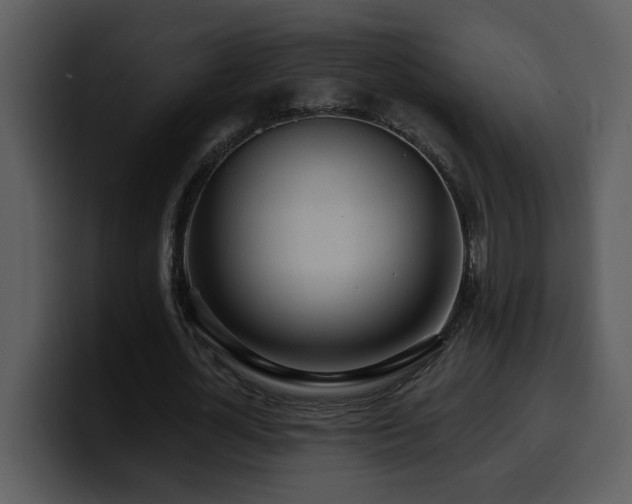 X0000100780724200806191302