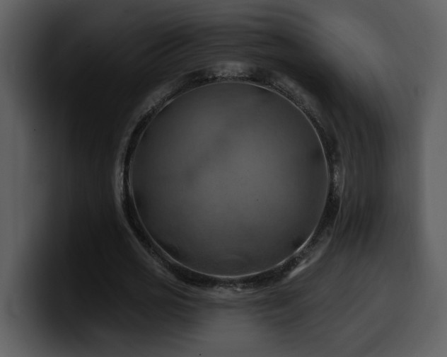 X0000100780725200806191302