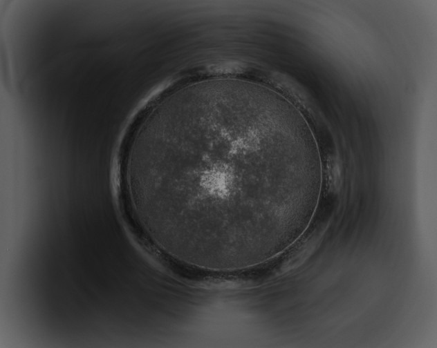 X0000100780726200806191302